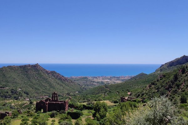 Desierto de las Palmas